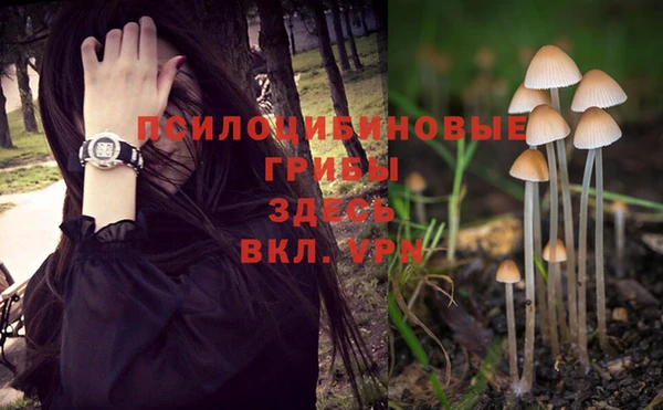 бошки Абдулино