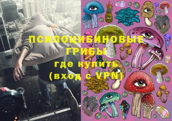 шишки Алексин