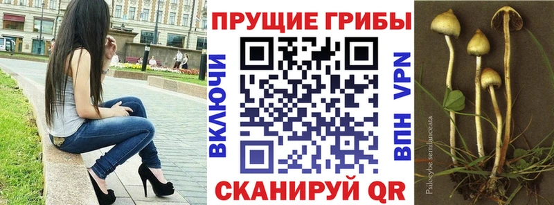 Галлюциногенные грибы GOLDEN TEACHER  Котово 